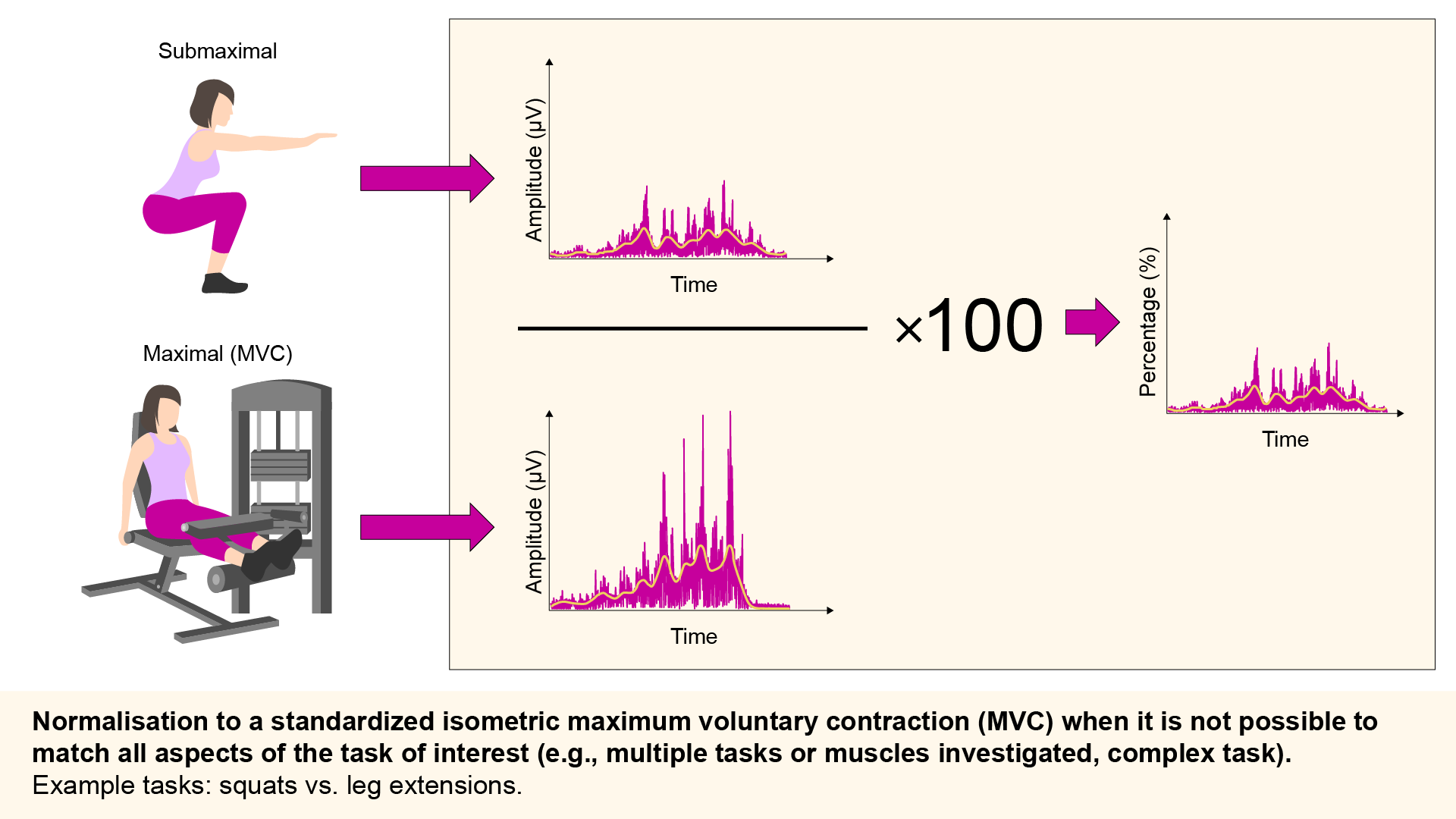 Normalization to a standardized isometric maximum voluntary contraction (MVC) when it is not possible to match all aspects of the task of interest (e.g., multiple tasks or muscles investigated, complex task)
