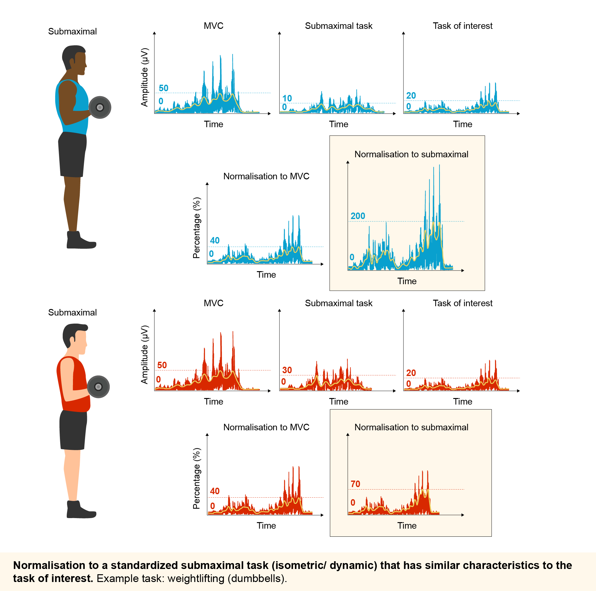 Normalization to a standardized submaximal task (isometric/ dynamic) that has similar characteristics to the task of interest